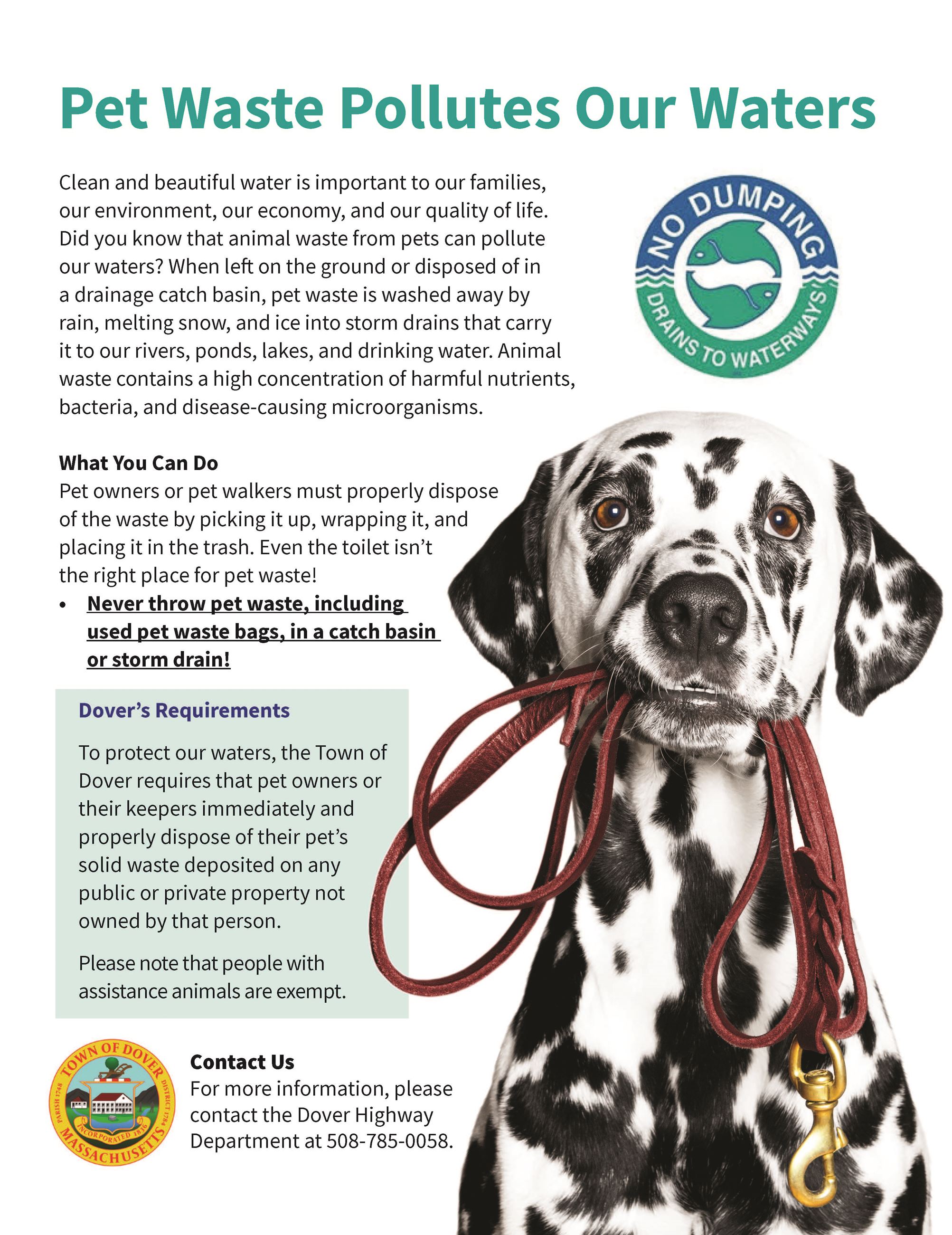 Dover pet waste flyer-2023