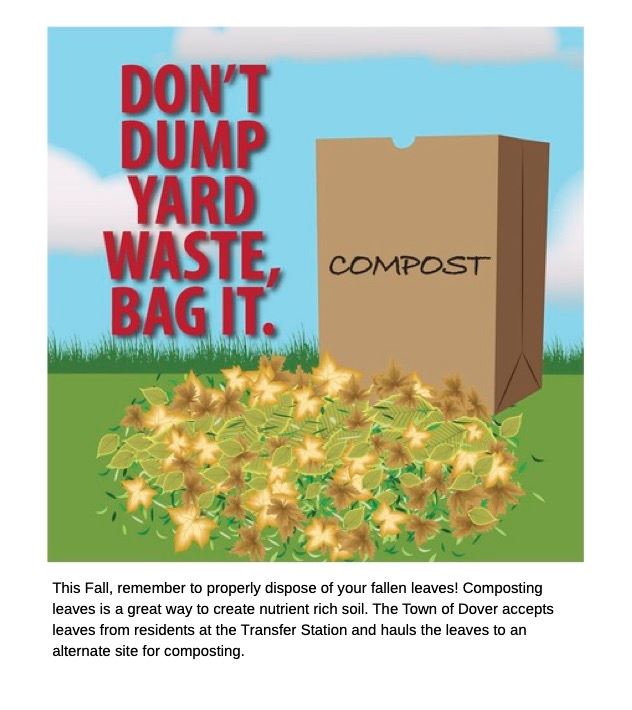 Leaf Litter Disposal 2023